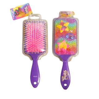 CEPILLO DE PELO DE PALETA