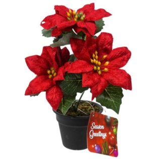 Planta de Pascua Navideña Decorativa 19 cm