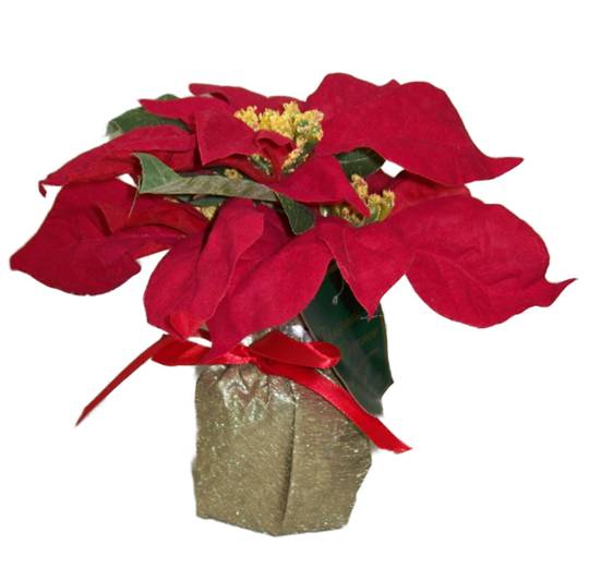 Flor de Pascua Navideña 22 cm Decorativo
