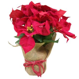 Flor de Pascua Navideña Decorativa 40 cm Elegance