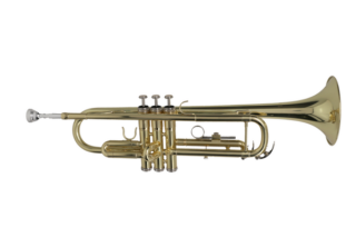 Trompeta - LIVERPOOL TP8001G Guatemala