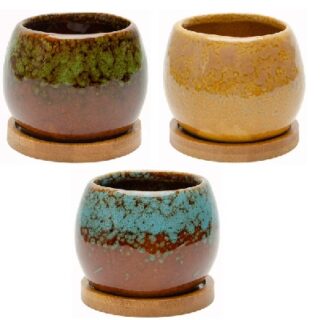 JUEGO DE MACETAS SUCULENTAS - 3 SET -