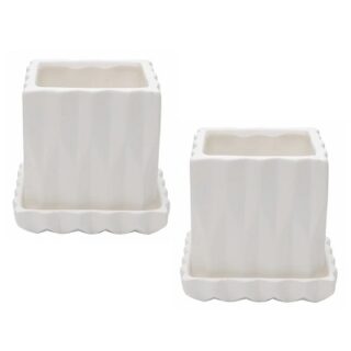 JUEGO DE MACETAS SUCULENTAS - 2 SET -