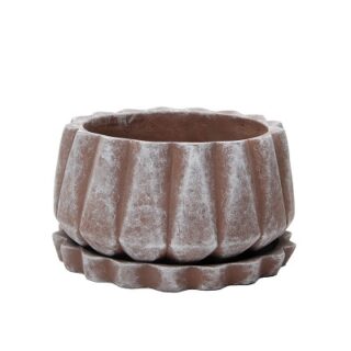 SET DE MACETA Y PLATO SUCULENTAS