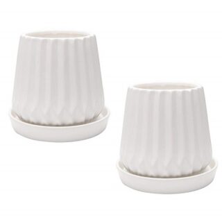 JUEGO DE MACETAS SUCULENTAS - 2 SET -