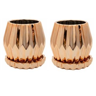 JUEGO DE MACETAS SUCULENTAS - 2 SET -