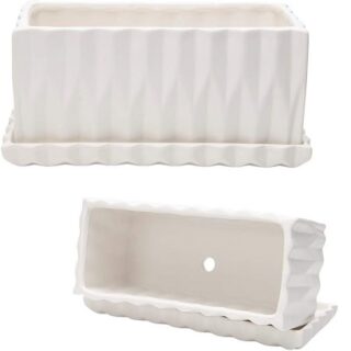 SET DE MACETA MAS PLATO SUCULENTAS