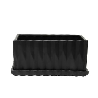 MACETA MAS BASE SUCULENTA