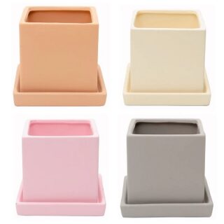 JUEGO DE MACETAS SUCULENTAS - 4 SET -