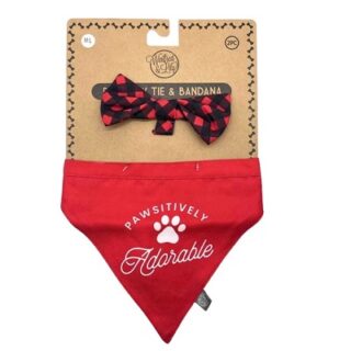 ACCESORIOS PARA PERRO 2 PC