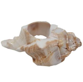 SET DE SERVILLETEROS 4 PC