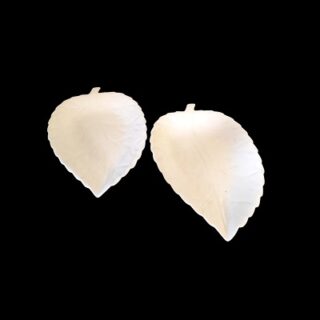 SET DE PLATOS DE CERAMICA HOJAS 2 PC 40 CM