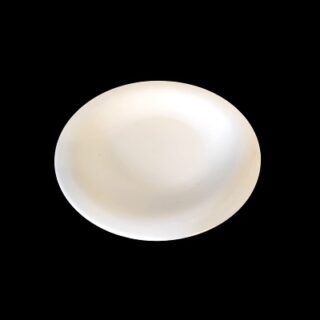 PLATO DE CERAMICA BLANCA 20 CM