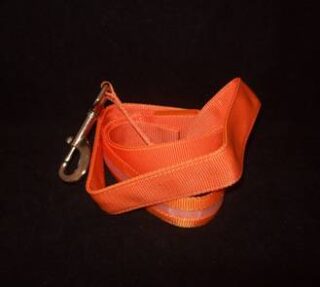 CORREA PARA PERRO CON LUZ