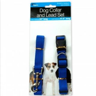 COLLAR Y CUERDA PARA PERRO
