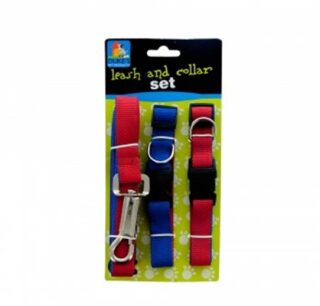 SET DE COLLARES PARA PERRO 2PC