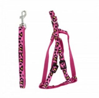 PECHERA Y HARNES PEQUEÑO