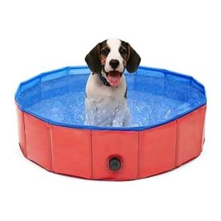 PISCINA PARA PERROS 31 X 8 PUL