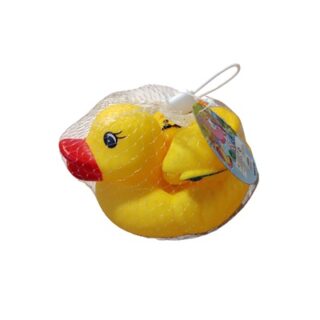 JUGUETE DE AGUA PARA BEBE DE PATO